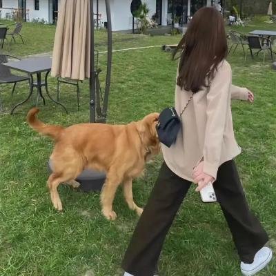 中国乒乓之绝地反击